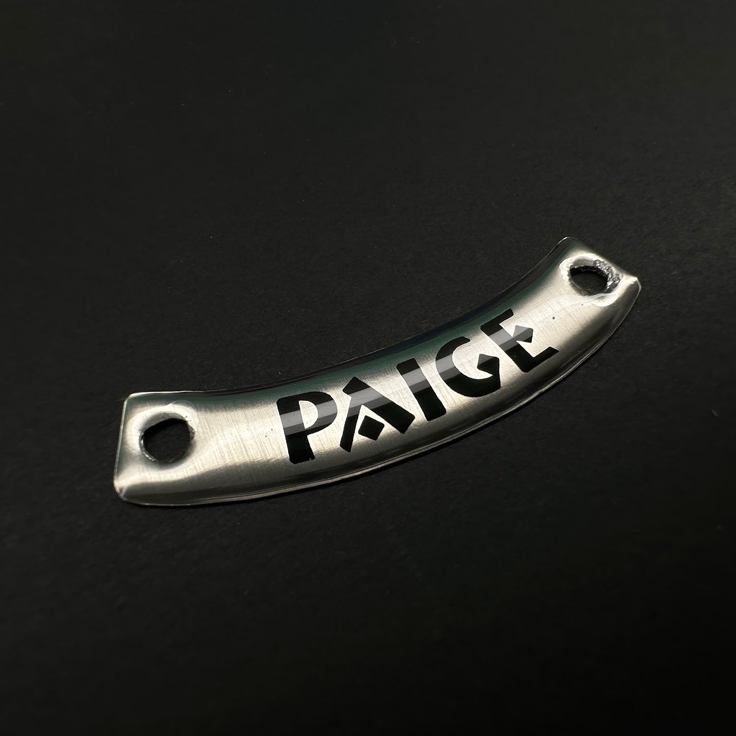 Paige - Divas Championship Replica Basic Customized Nameplate